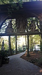 IMG_20191014_171533