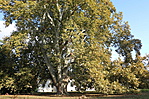 IMG_0477