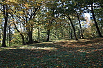 IMG_1177