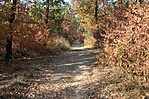 IMG_1546