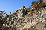 IMG_1549