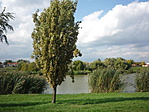 P1200390