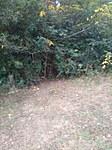 IMG_20191006_161336 (1)