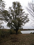 PA303751