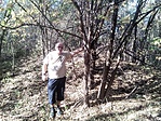 IMG_20191025_135429