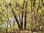 IMG_20191025_134848