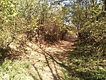 IMG_20191025_134853