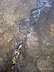 P91022-123244