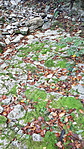 20191006_135208