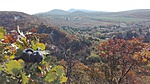 IMG_20191019_120320