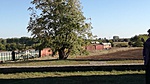 IMG_20191012_154912