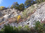 2019-10-18_19-42-32