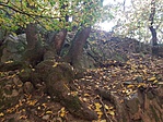 20191019_121203