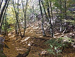 20191019_121519