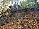 20191019_121527