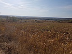 20191019_114043