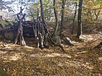 20191019_131152