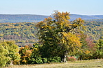 DSC_6101