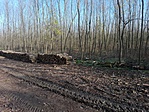 IMG_20191122_131043