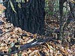 rejtek