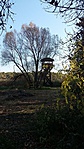 A madárles