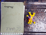20191116_091826