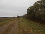 DSCN7092