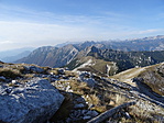 vogel5