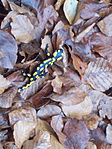 DSCN8257