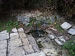 IMG_20191102_071131