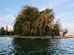 IMG_0449