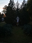 IMG_20191111_063323