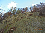Riolit tufa