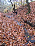 IMG_3601