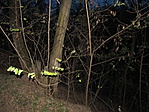 IMG_3850