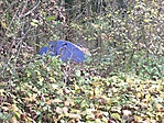 IMG_0048