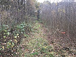 IMG_0047