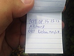 A log :)
