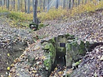 IMG_20191115_120349