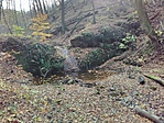 IMG_20191115_131525