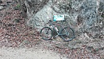 IMG_20191129_091551