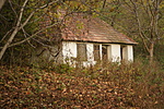 DSC03989