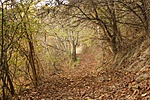 DSC03998