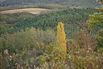 DSC04008