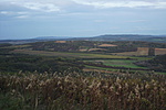 DSC04039
