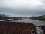 GCJszl_20191129_094221