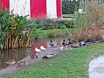 IMG_20191106_160653