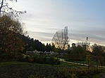 IMG_20191106_160626