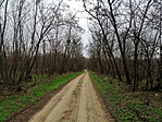 IMG_20191130_145202