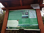IMG_20191113_130709